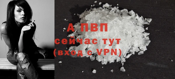 прущие грибы Бугульма