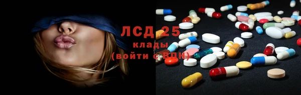 гидропоника Богородицк