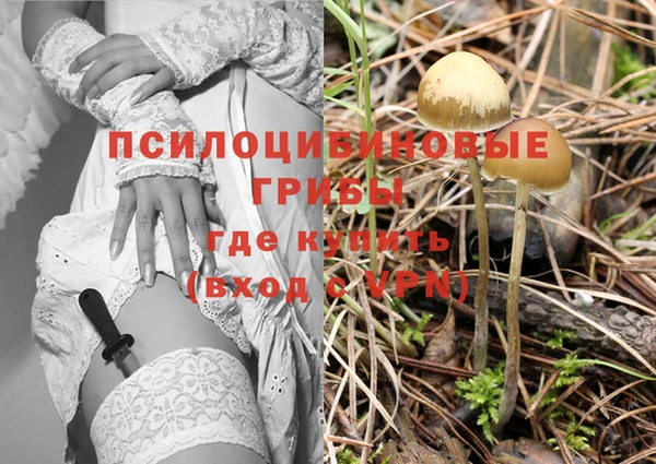 2c-b Богородск