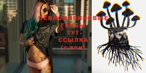прущие грибы Бугульма