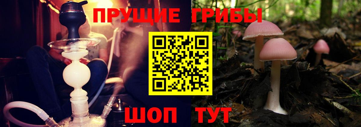 Гулькевичи  Псилоцибиновые грибы мицелий  сколько стоит  Вход с VPN 